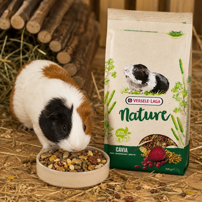 Versele-Laga Nature Cavia Karma dla Świnki Morskiej 700g Bezzbożowa Mieszanka.jpg